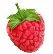 Raspberry.jpg image by regnans