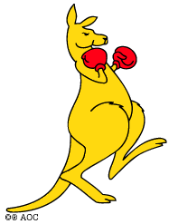 boxing kangaroo